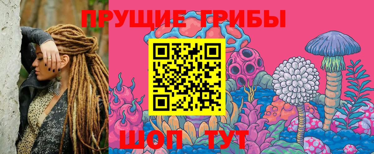 Псилоцибиновые грибы мицелий  Вход с VPN  Богородск 